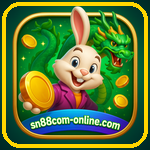 sn88.com